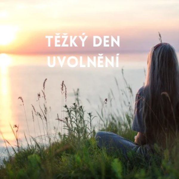 Kopie návrhu Svobods Síla Bezpečí