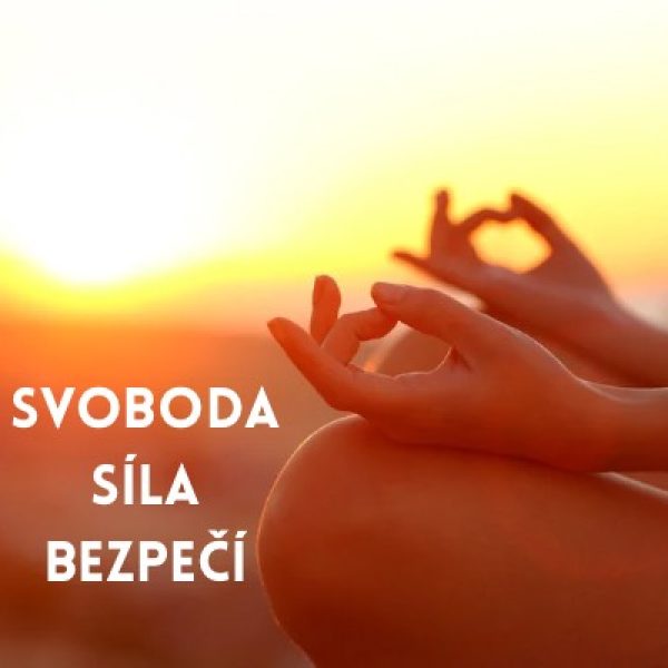 Svobods Síla Bezpečí